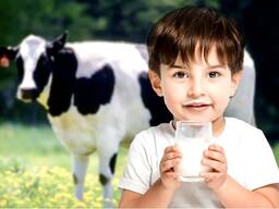 Bebida leche en polvo 26% de grasa