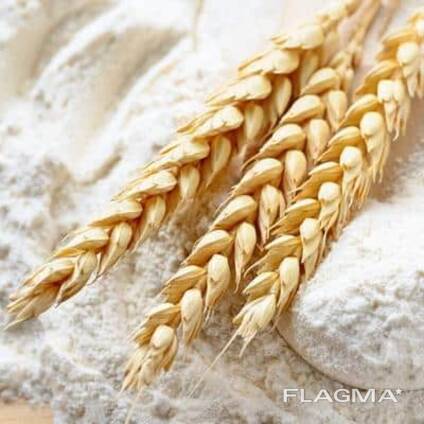 БОРОШНО оптом в мішках по 50 кг і паках по 1 кг