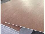 Commercial Plywood - фото 2