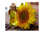 Factory Supply Pure Sunflower Oil Bulk Wholesale - фото 2