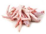 Frozen Chicken Feet - фото 2