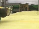 Granulated sulfur, lump sulfur - foto 1