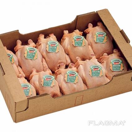 Halal Frozen Chicken Parts