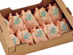 Halal Frozen Chicken Parts