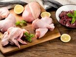Halal Frozen Chicken, Thigh, Back quarter, Wings , Fillet IPBF , IQF, BF. Ukraine ! - фото 3