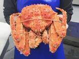 Red King Crab - foto 1