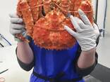 Red King Crab - foto 3